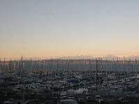 DSCN4965
