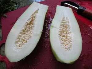 DSCN8424