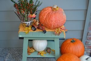 DSC_0005-001 DSC_0005-001