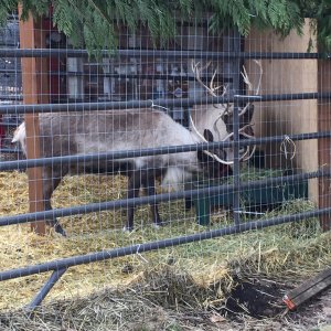 01d0259de95f34f139197d9eae7fdf06ca10b229f2 01d0259de95f34f139197d9eae7fdf06ca10b229f2