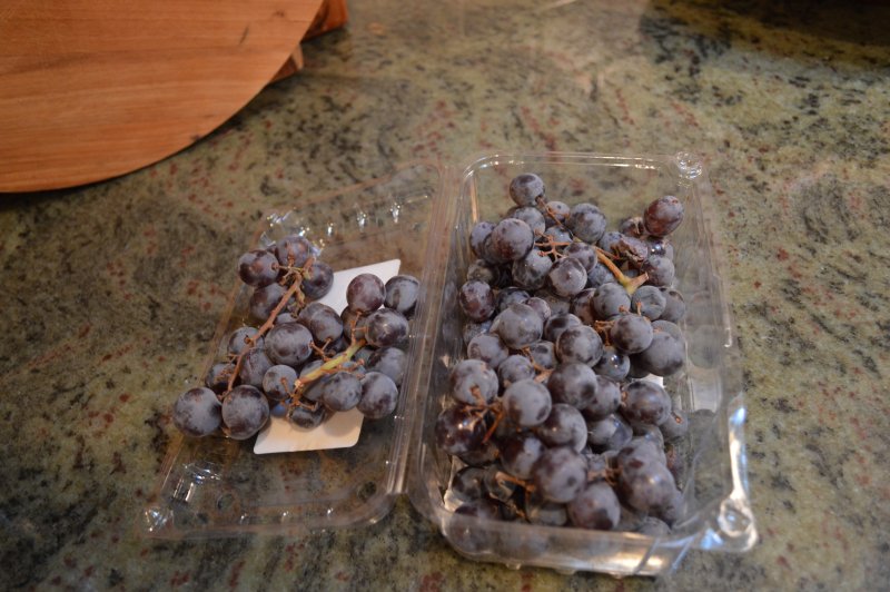 DSC_0001 (2) DSC_0001 (2)