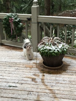 012e4f880fccdb979f52f0f068ff2d3fa322ec5bd7 012e4f880fccdb979f52f0f068ff2d3fa322ec5bd7