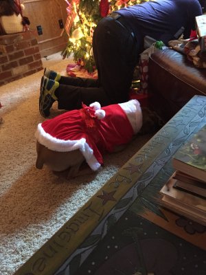 010e6b58544ecca8c2ec54f7daa67dfb79e78a5201_00001 010e6b58544ecca8c2ec54f7daa67dfb79e78a5201_00001