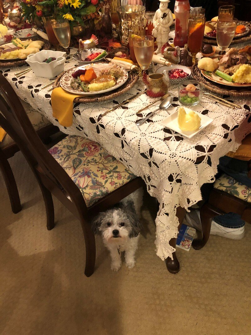 IMG_6688 (2) IMG_6688 (2)