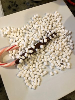 IMG_7335 (2) IMG_7335 (2)