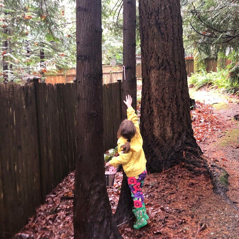 IMG_7102 (2) IMG_7102 (2)