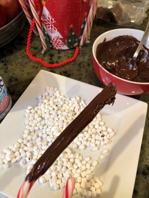 IMG_7331 (2) IMG_7331 (2)