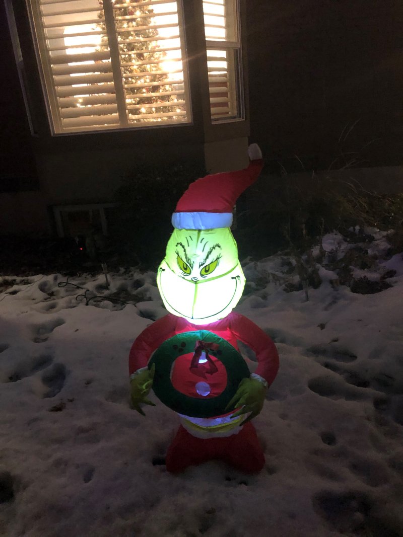 IMG_6876 (2) IMG_6876 (2)