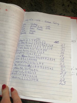 IMG_7381 (2) IMG_7381 (2)