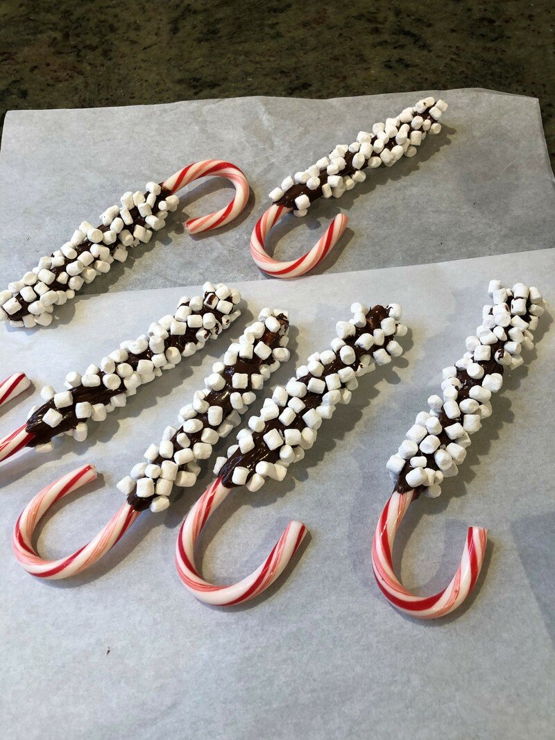 IMG_7336 (2) IMG_7336 (2)