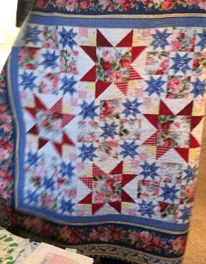 IMG_7719 (2) IMG_7719 (2)