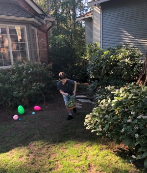 IMG_8308 (2) IMG_8308 (2)