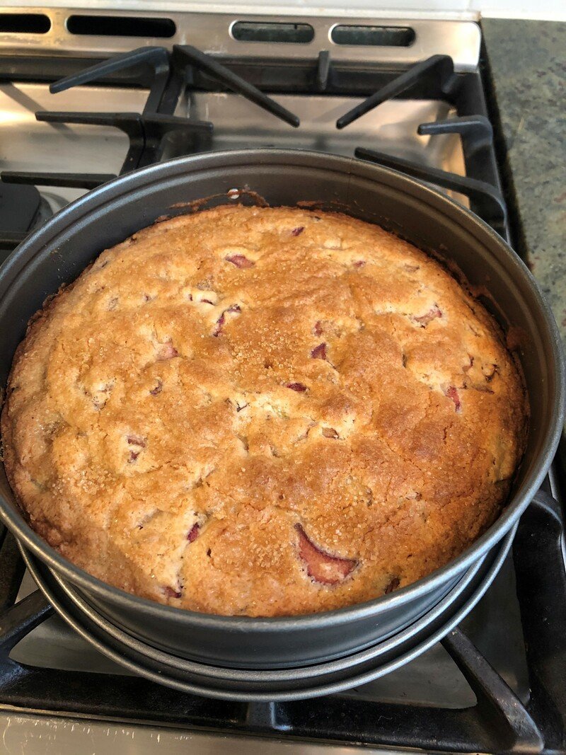 IMG_8557 (2) IMG_8557 (2)