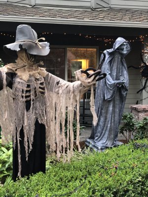 Thumbnail_IMG_0026 Thumbnail_IMG_0026