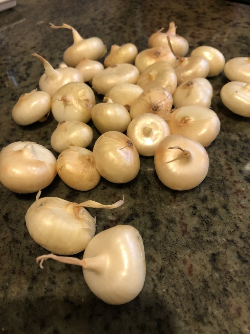 Thumbnail_IMG_0117 Thumbnail_IMG_0117