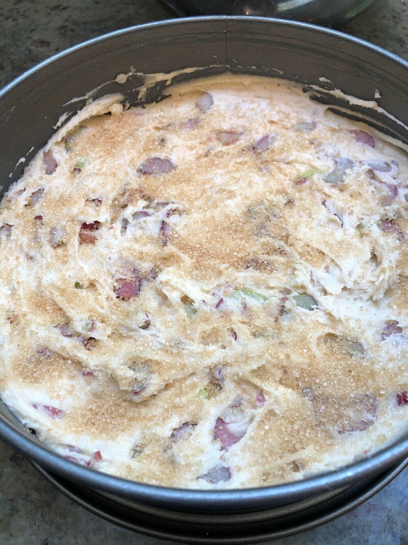 IMG_8556 (2) IMG_8556 (2)